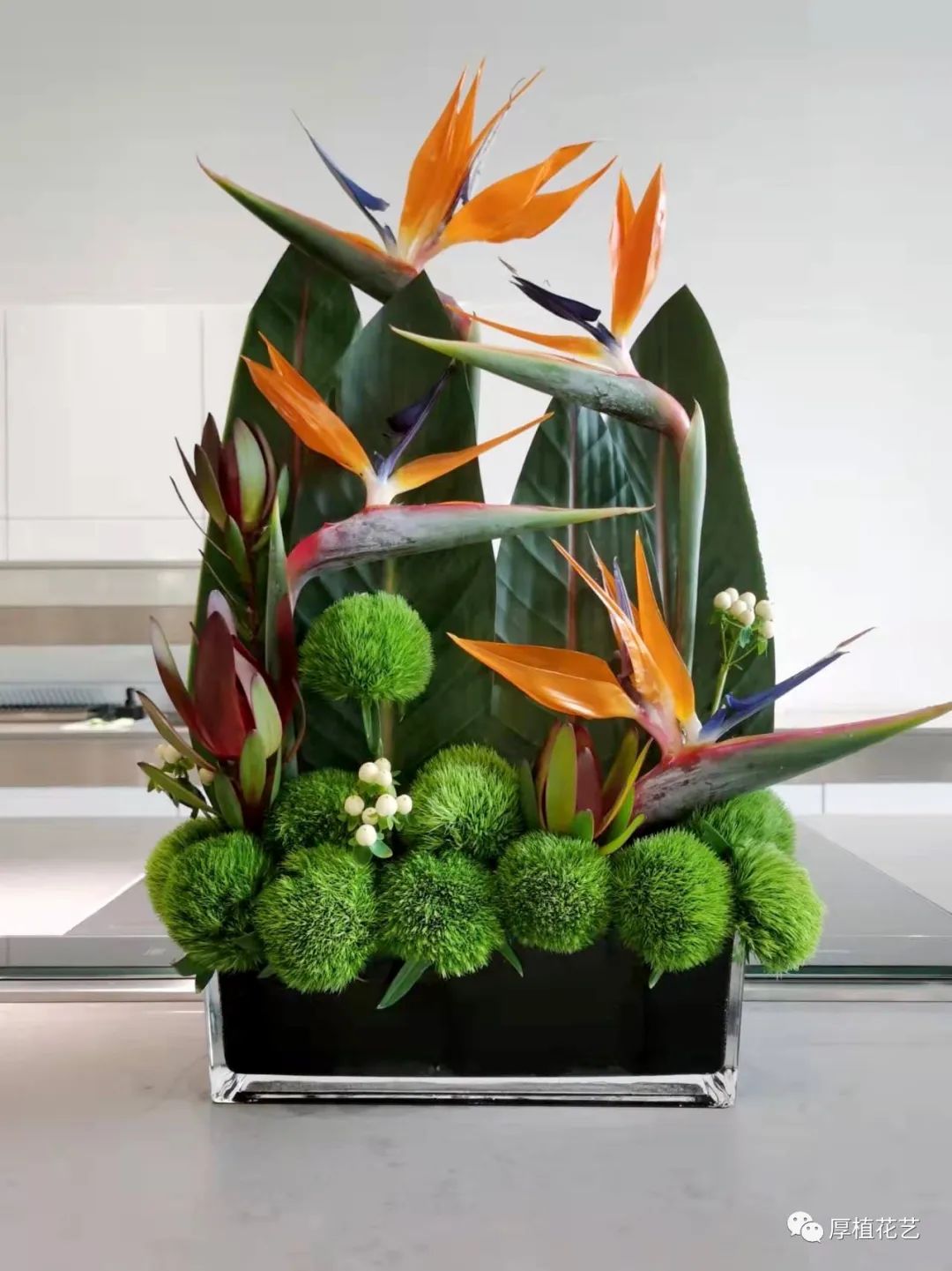 商务前台鲜花,前台花选择