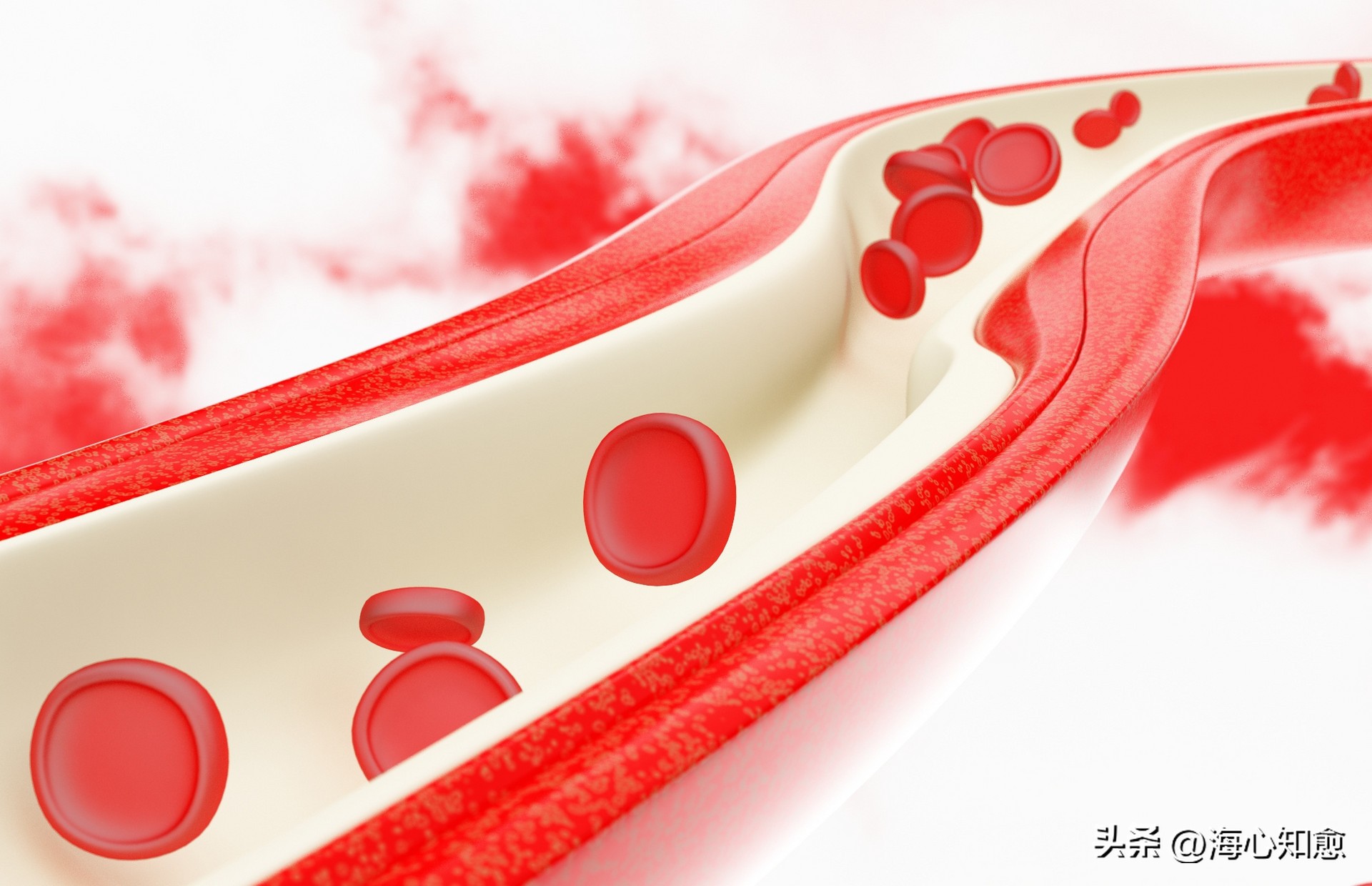 肿瘤患者白蛋白低能继续放疗么,肿瘤病人白蛋白低喝蛋白粉