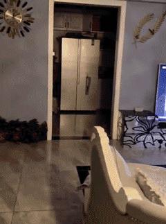 中国队世界杯搞笑视频,世界杯失误搞笑视频