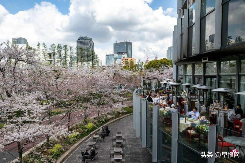 日本客房平均单价飙至880元,日本酒店价格波动较大