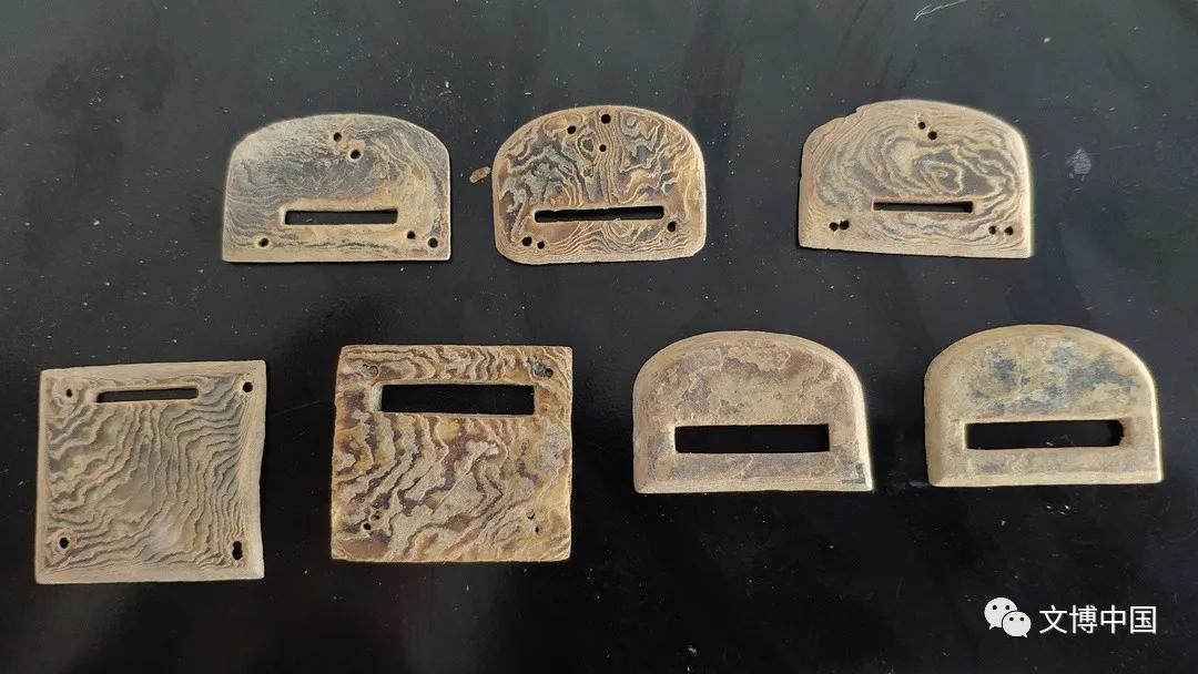 玳瑁出土会有哪些影响,玳瑁现存