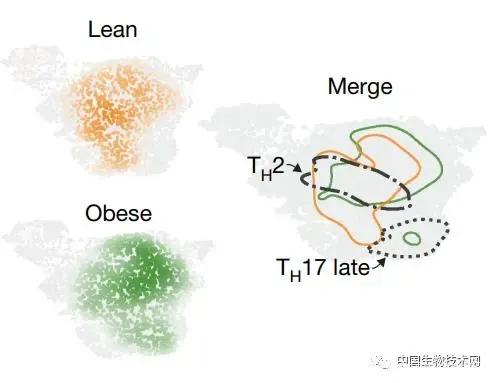 Nature：肥胖不仅让湿疹更严重，而且还会让治疗药物产生反作用