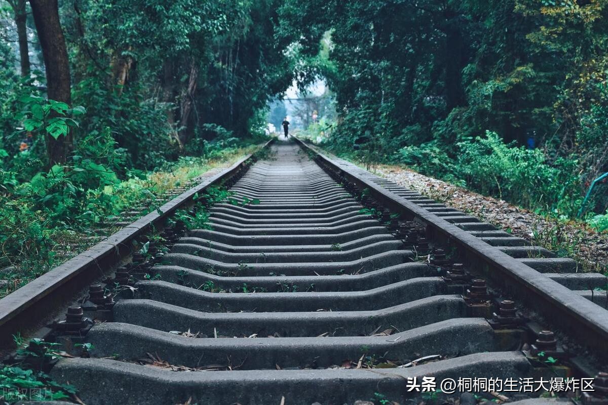 成都旅游五日游攻略路线推荐,成都自由行攻略带你3天玩遍成都