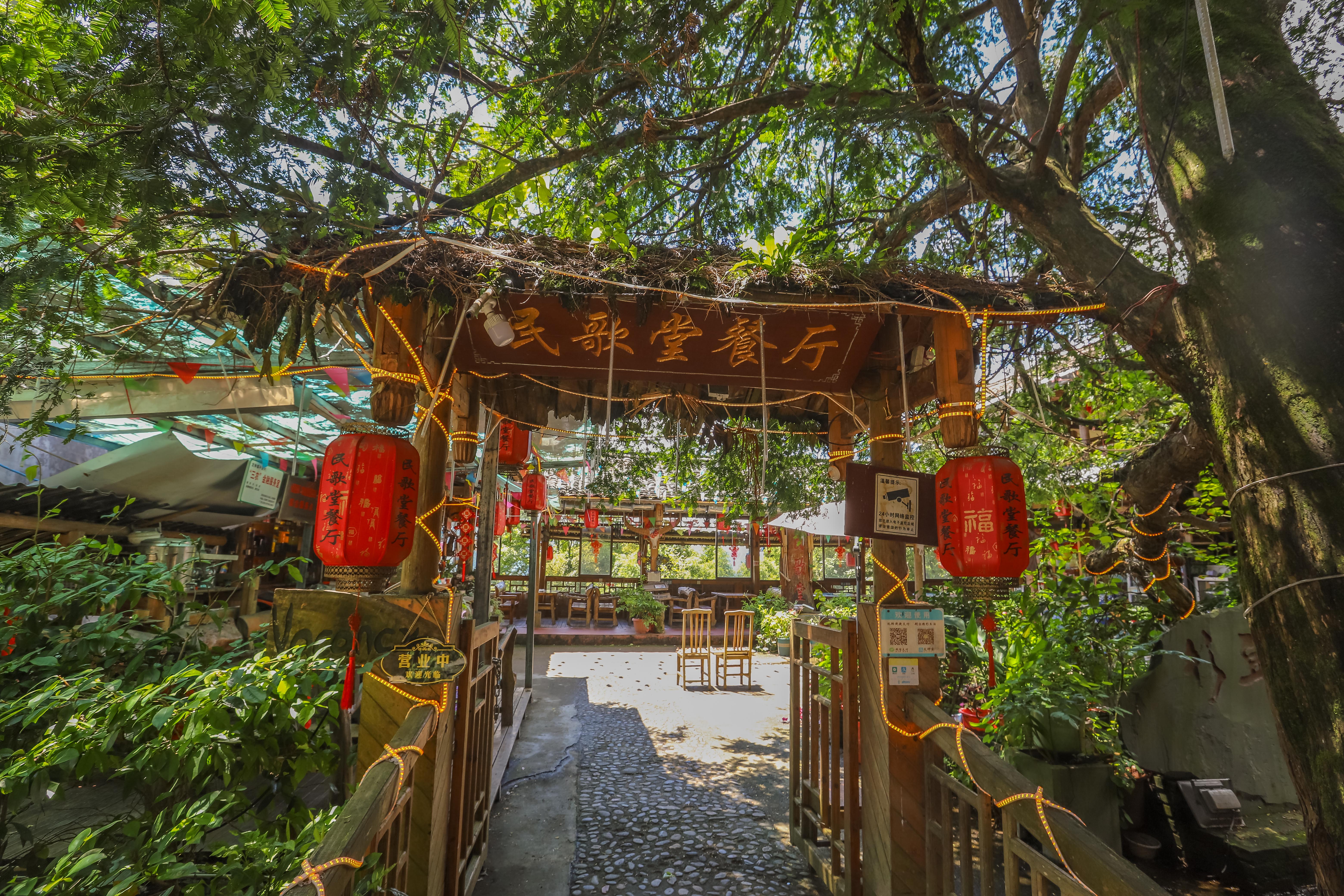 龙脊水稻梯田图片,龙脊水稻