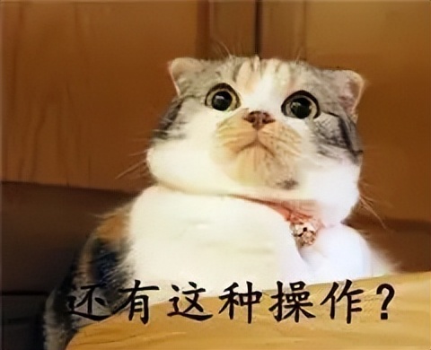 蔡徐坤被曝致人怀孕堕胎，粉丝列4点澄清，第一条让人笑出声