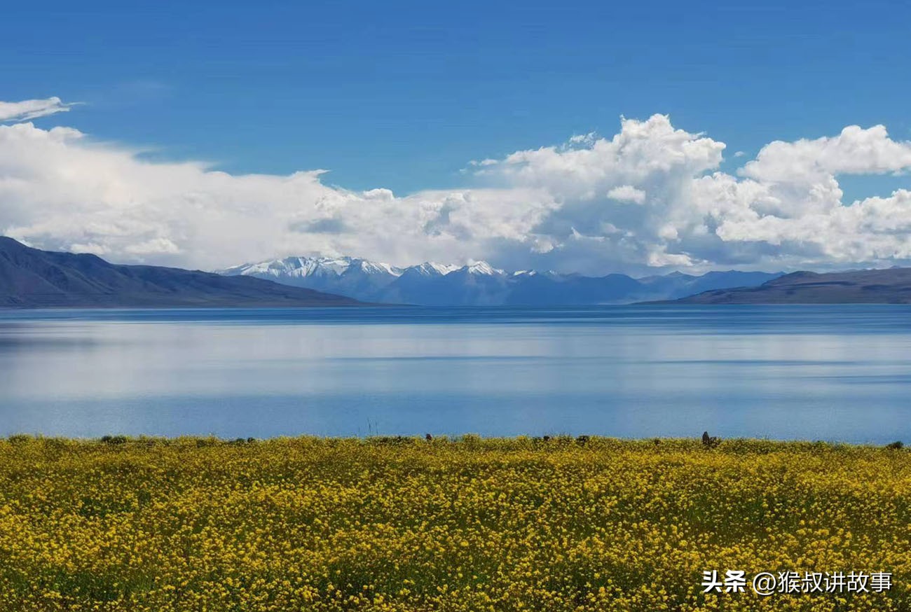 是尼玛,我是尼玛