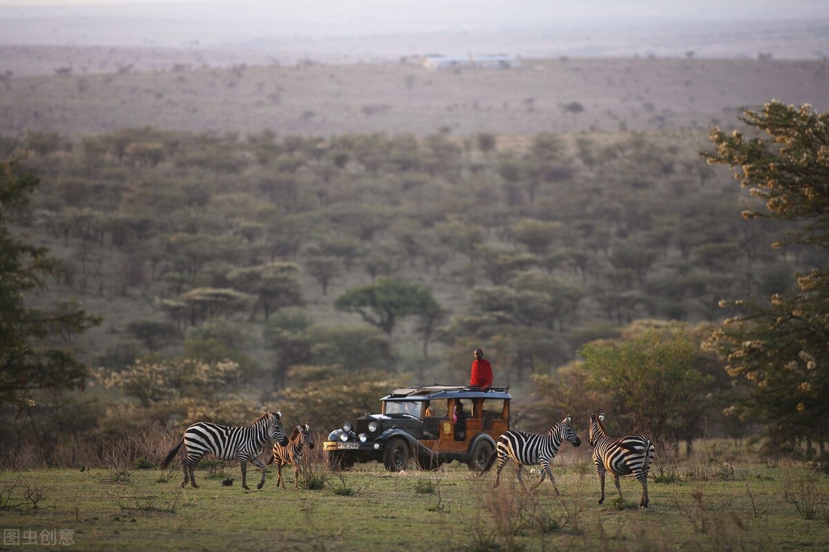 114万年前发生了啥？人类只剩头发、腋毛、阴部等处毛发有啥用？