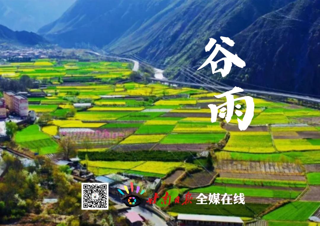 今日谷雨赋诗一首,今日谷雨时刻