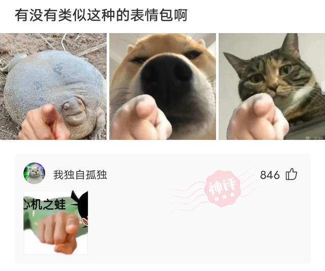 室友新买的蚊帐怎么感觉怪怪的,为什么刚买的蚊帐总感觉哪里不对