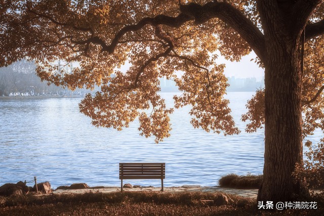 网络信息带来的利与弊,如何看待网络信息焦虑