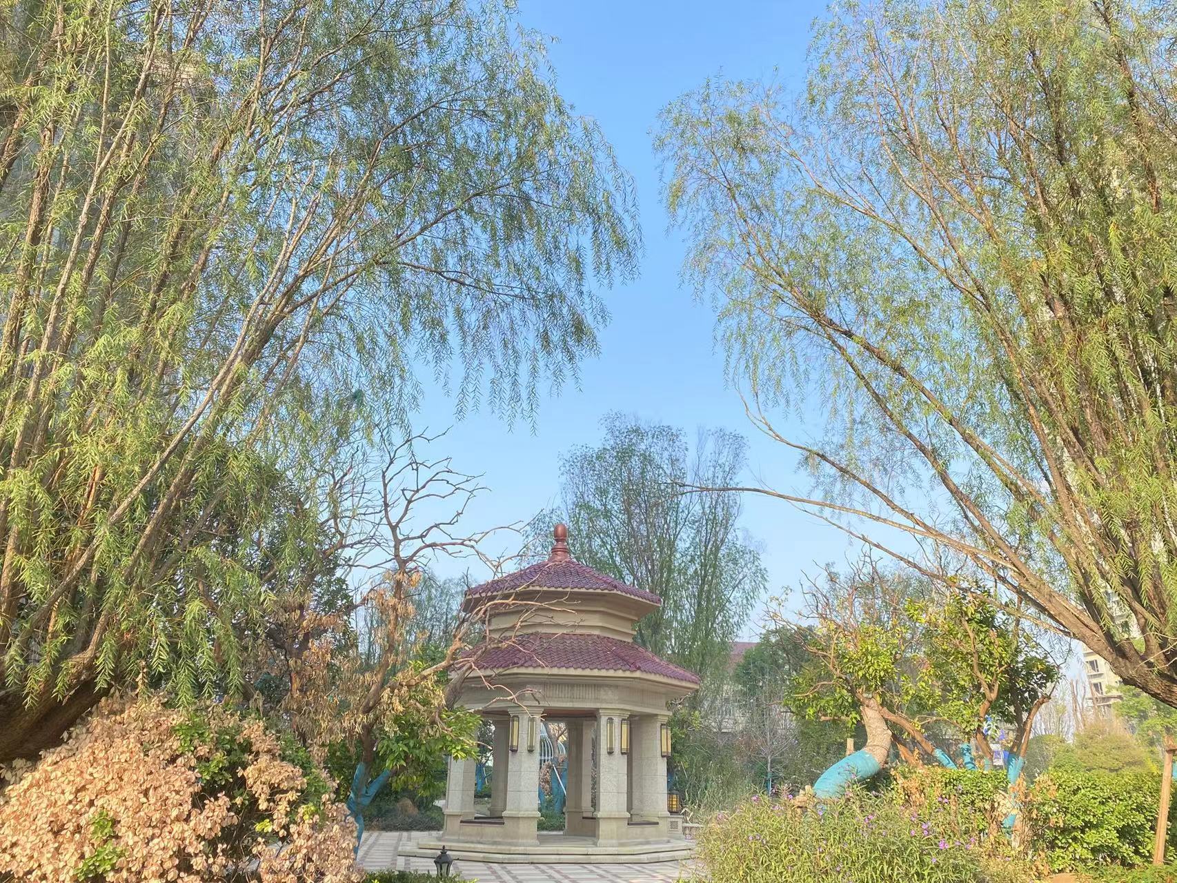 总投资一百亿元湿地公园,90亿巨资的河滩公园