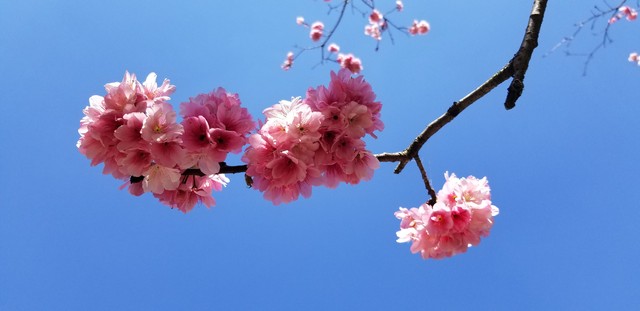 红颜知己女声完整版,红颜知己