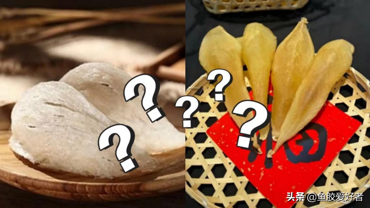 燕窝海参鱼胶滋补礼盒,怎么挑选鱼胶和燕窝