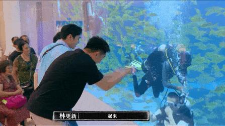岳云鹏挑战潜水,岳云鹏七大高情商场面