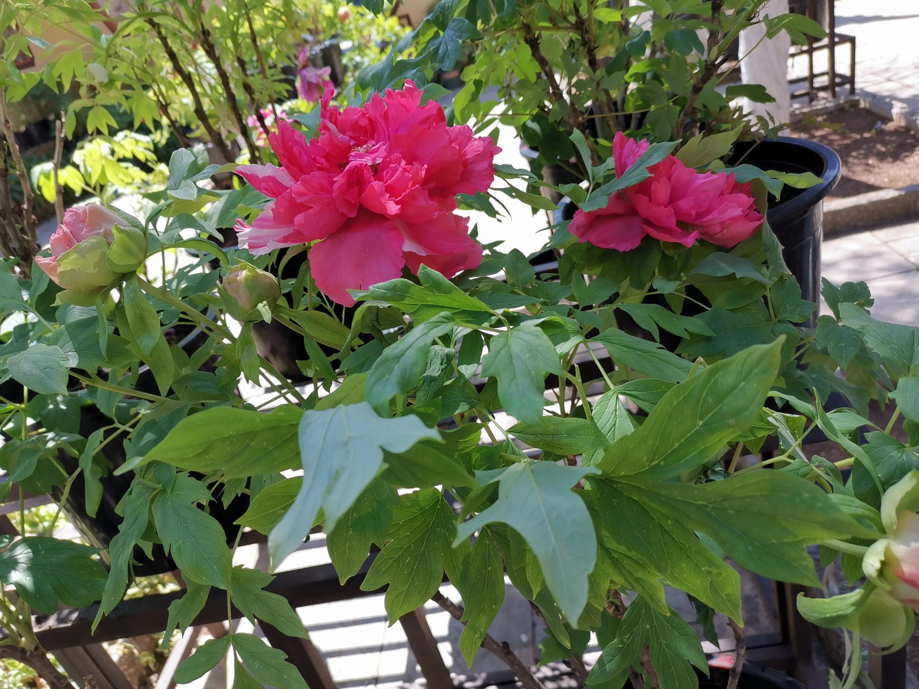 昆明昙华寺附近房价,昆明十一中到昙华寺