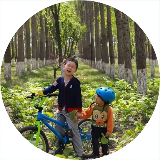 2万字大干货终结篇 | 海淀妈妈3年买过的50+本教辅书（数学篇—下）