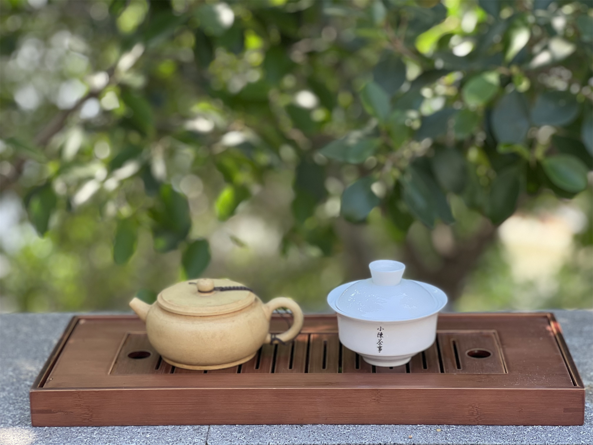 盖碗跟紫砂壶哪种适合泡白茶,白茶用紫砂壶还是盖碗