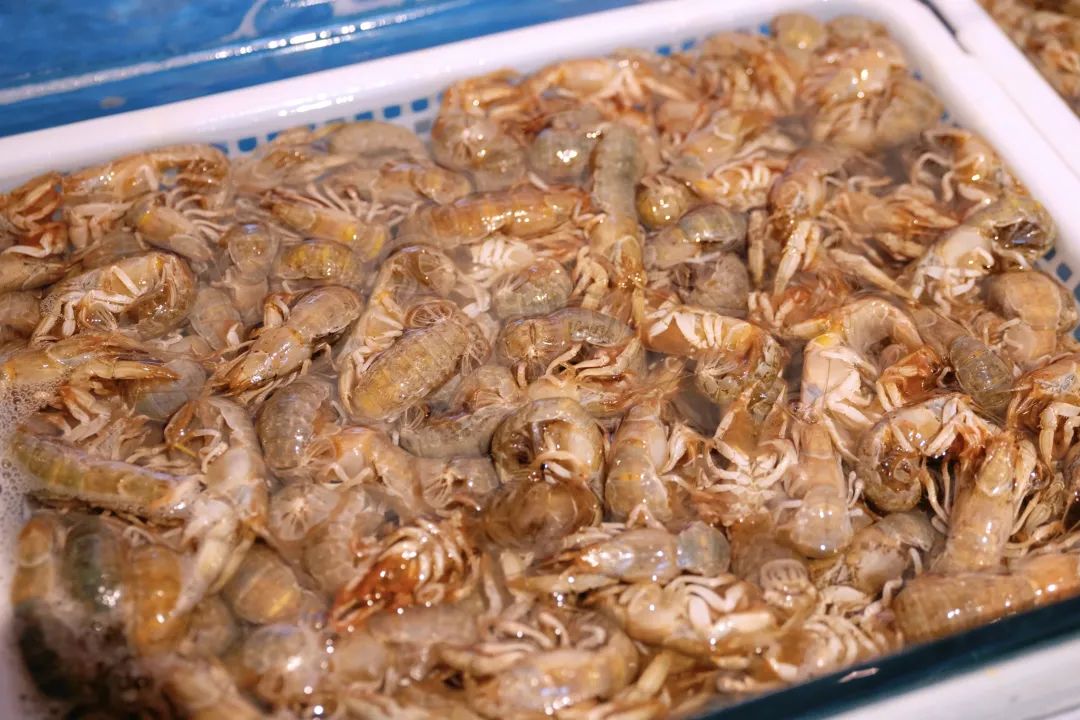 来大连住这里,每天都是海景富翁