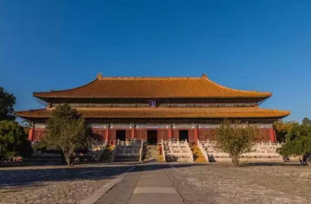 价值100万的金丝楠木为啥没人种植,金丝楠木种植三年价值多少