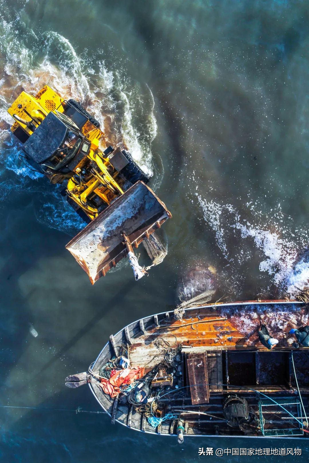 辽宁哪个地方的海鲜最好,辽宁各市都有啥海鲜