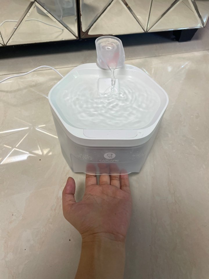 饮水机属于智商税么,猫咪喝水自动饮水机是智商税吗