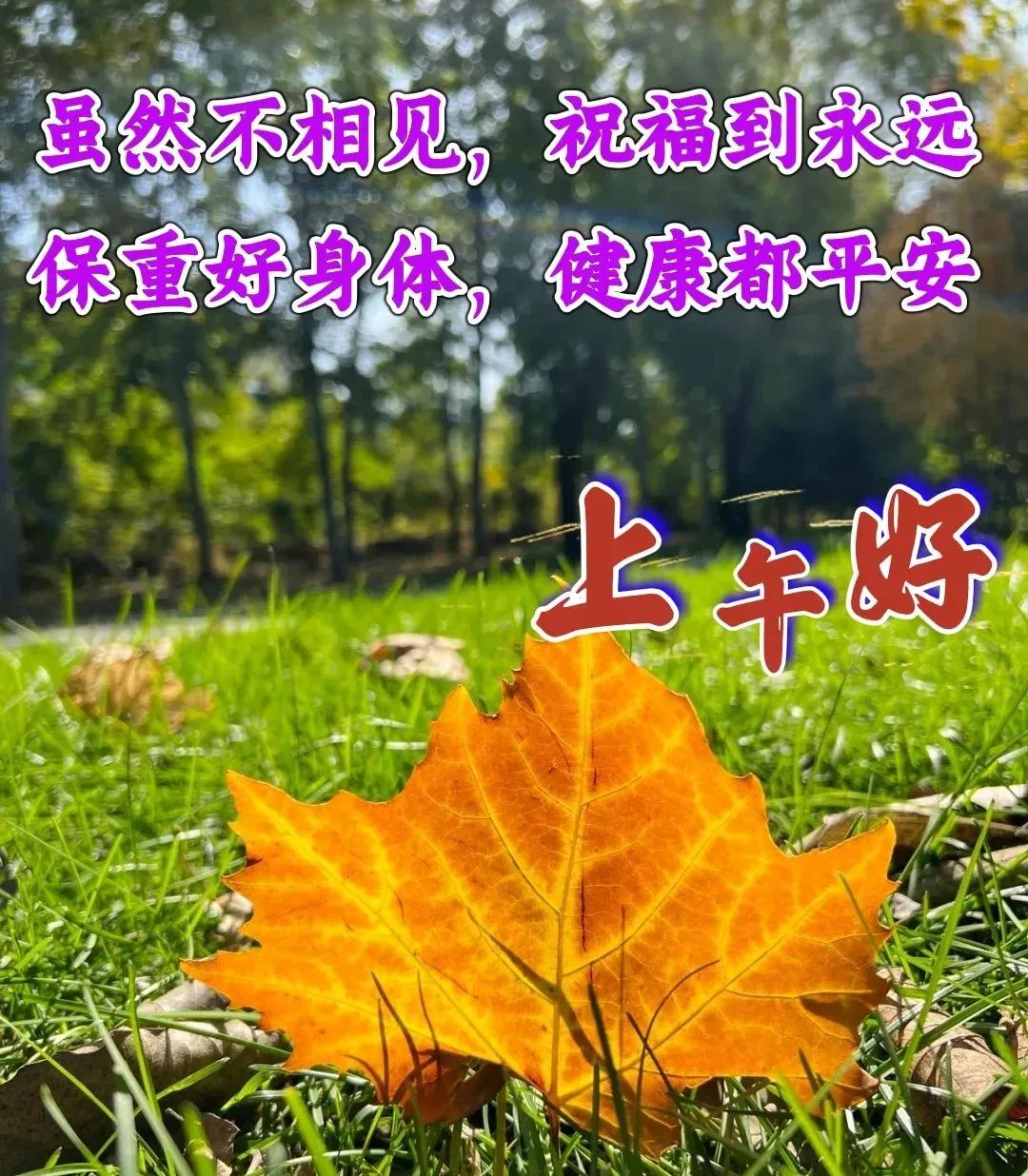 周末早安最漂亮问候图片带字,周三早安正能量图片带字