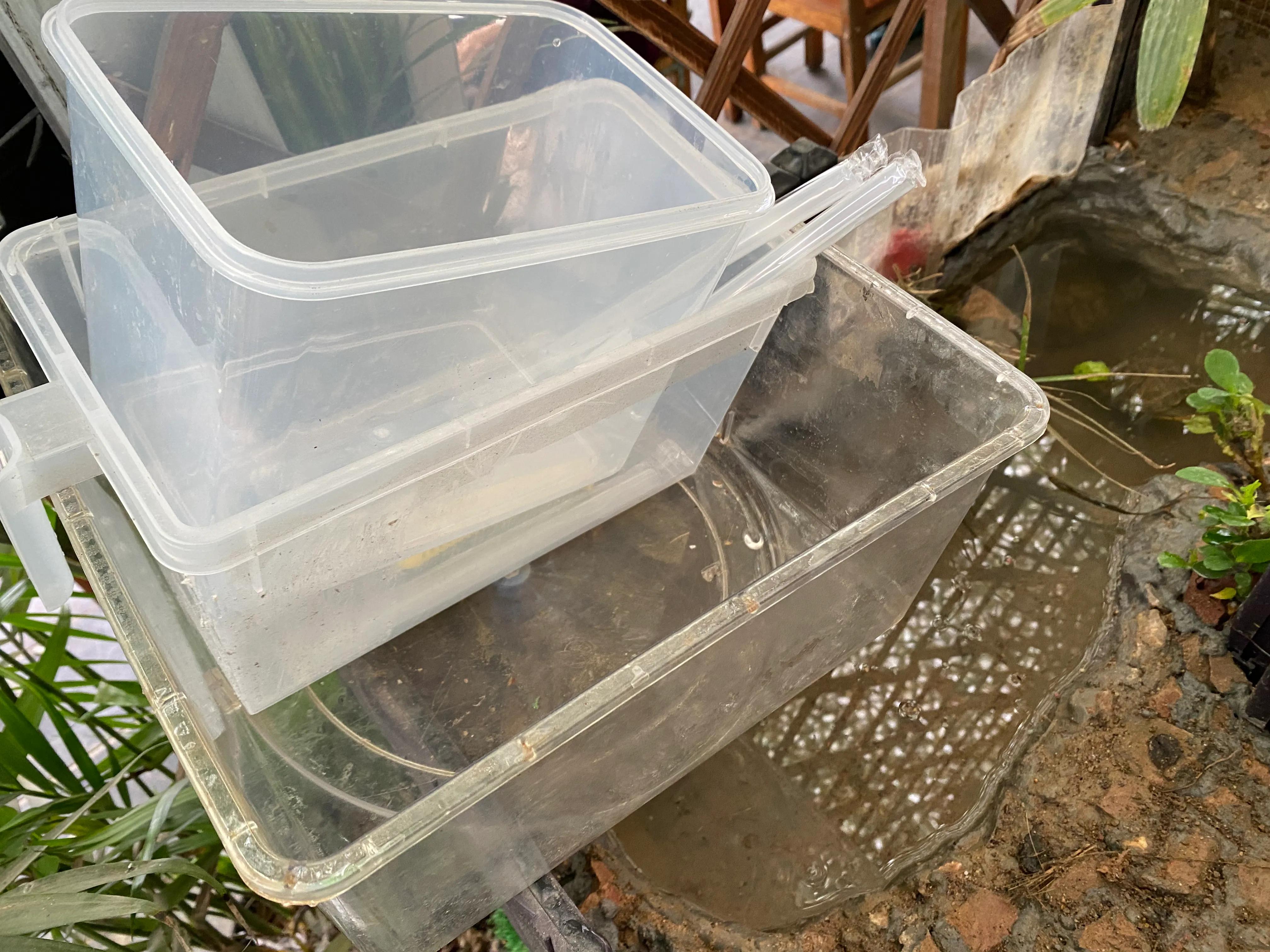 无过滤养龟怎么保持水质清洁,深水养龟用什么过滤效果最好