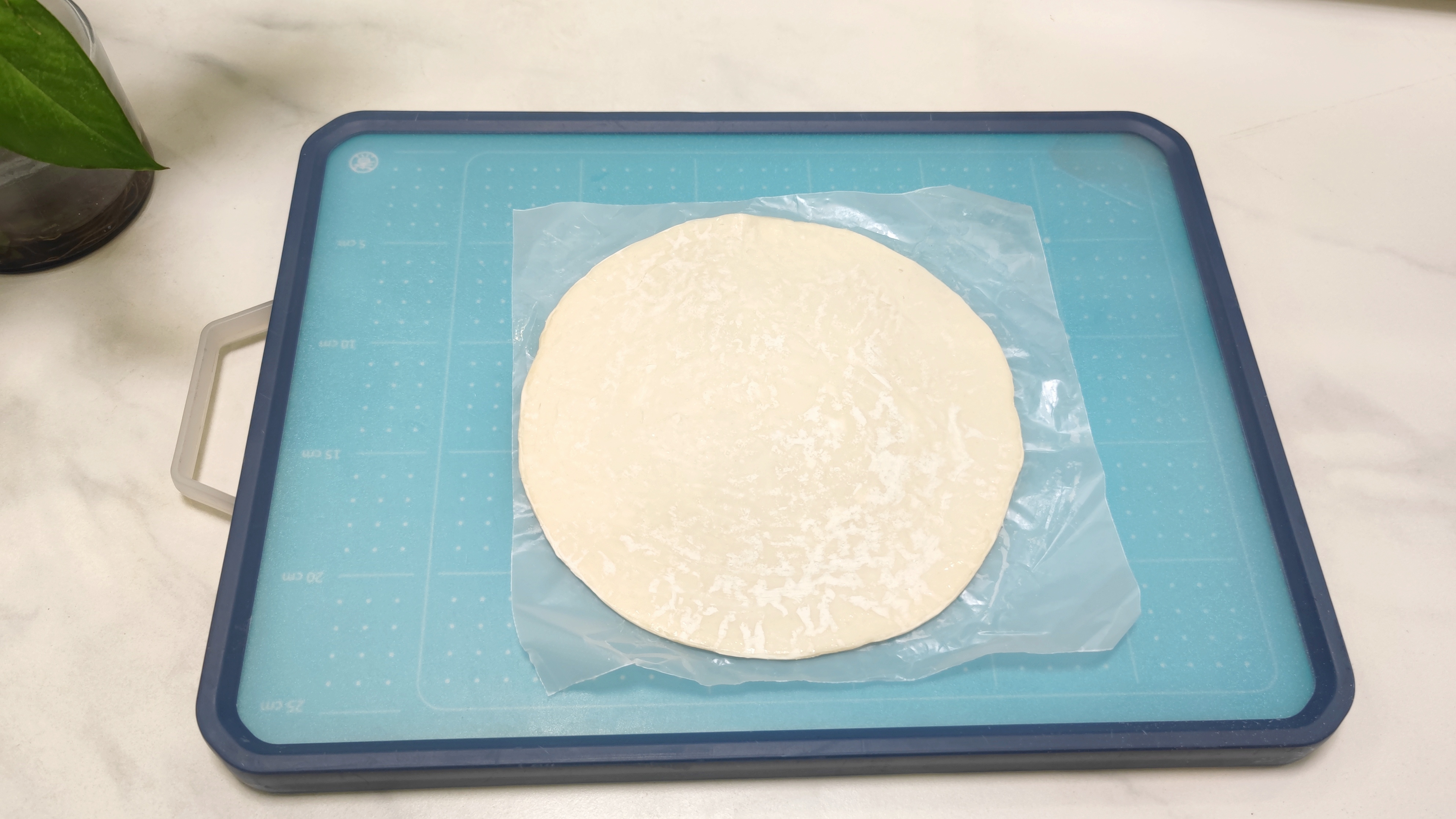 长帝大白鲸烤箱使用方法视频教程,长帝大白鲸哪个烘焙博主用