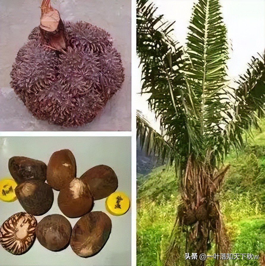 这四种文玩越玩越值钱你有吗,能盘透的几种文玩