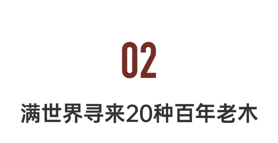 湖北夫妻造房子,湖北夫妻两万造房