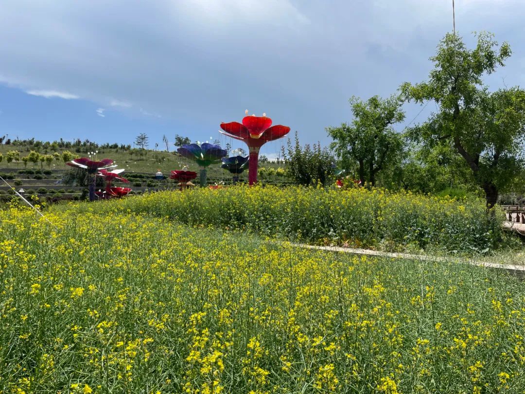 不出兰州，最快半小时到达！这个夏天，总要来趟榆中吧！