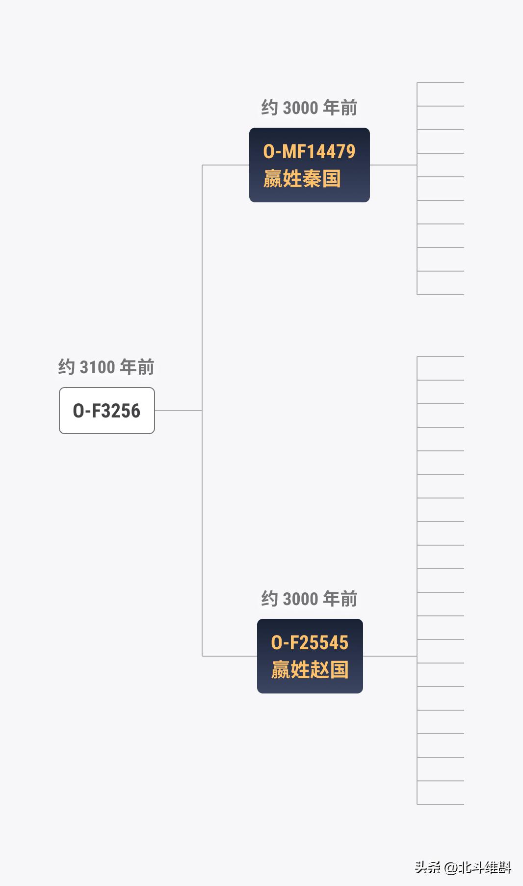 中国古dna研究能揭示古人起源吗,从dna看历朝历代