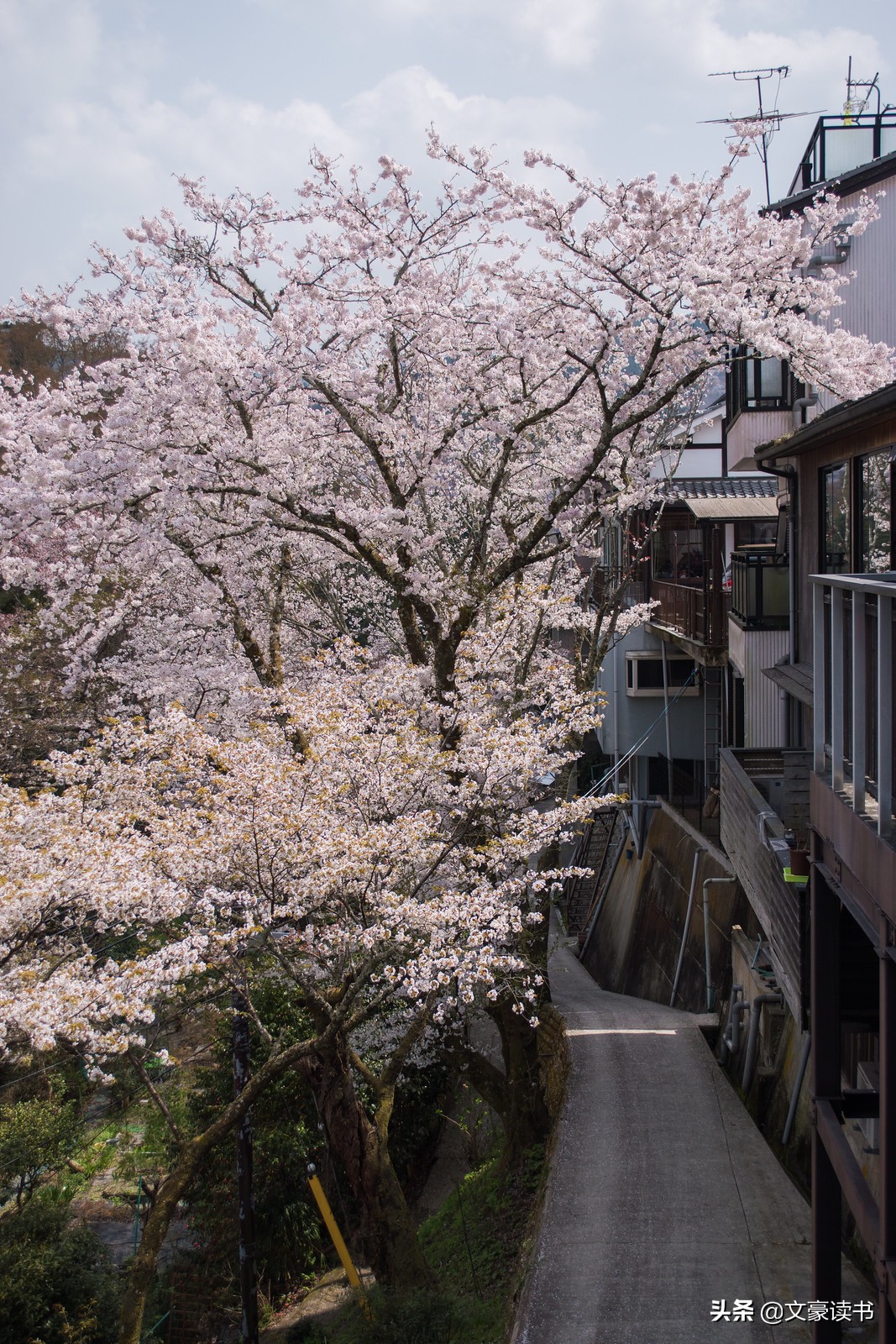 每个人都赚不到钱,为什么越着急赚钱越赚不到钱