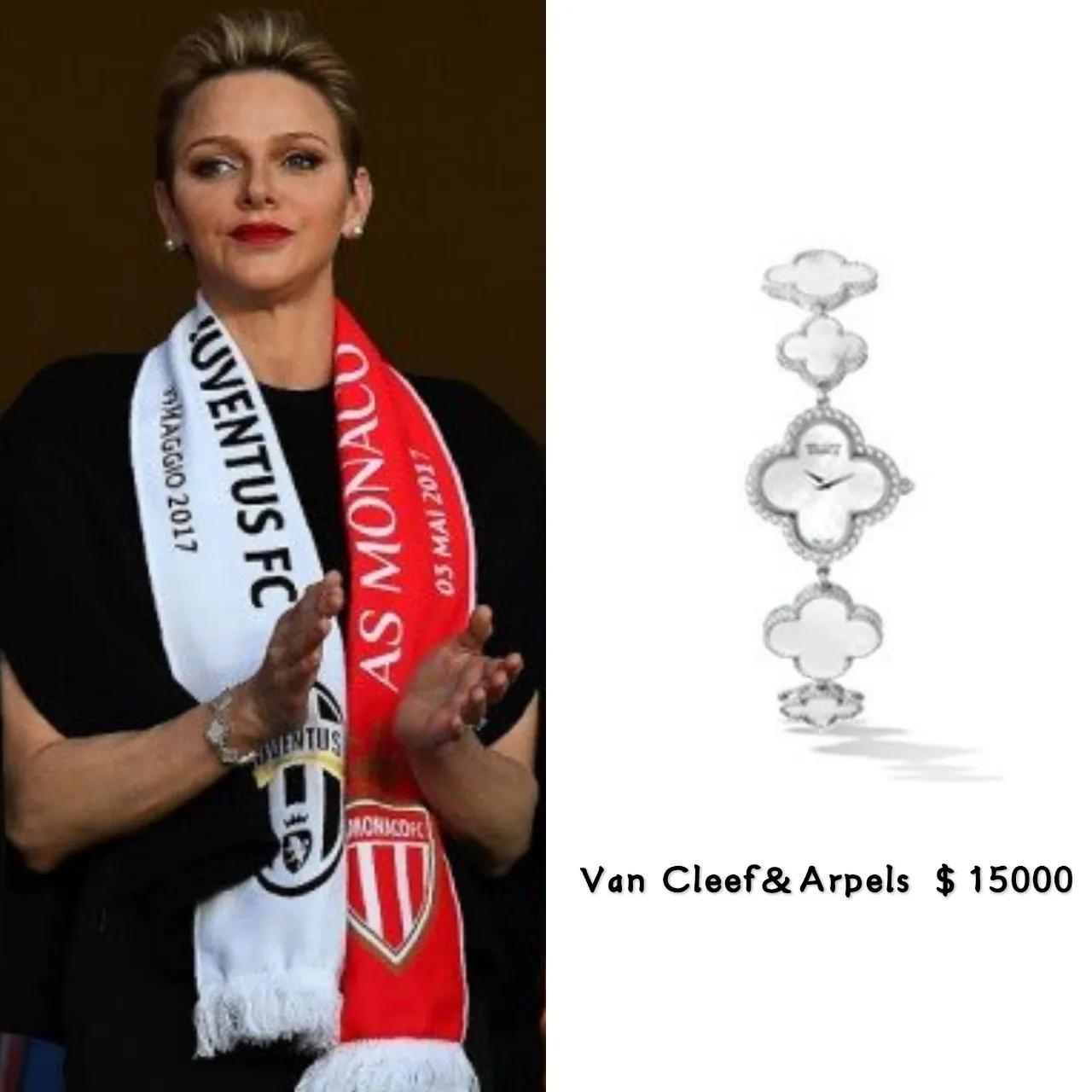 梵克雅宝双面黑白价格,梵克雅宝芭蕾舞胸针卡米拉