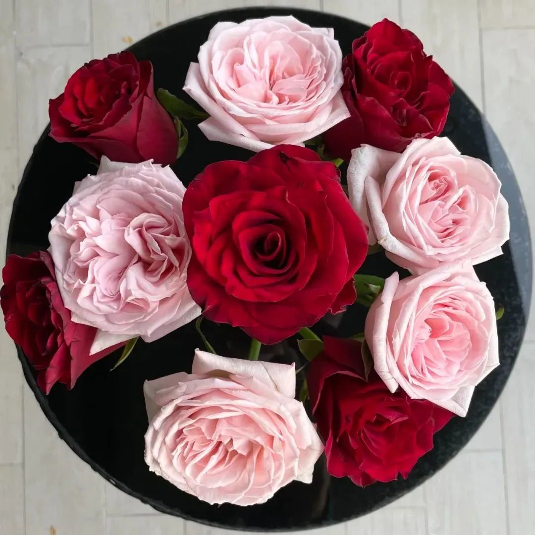 新手必看鲜花养护攻略,鲜花在水里能养几天会死