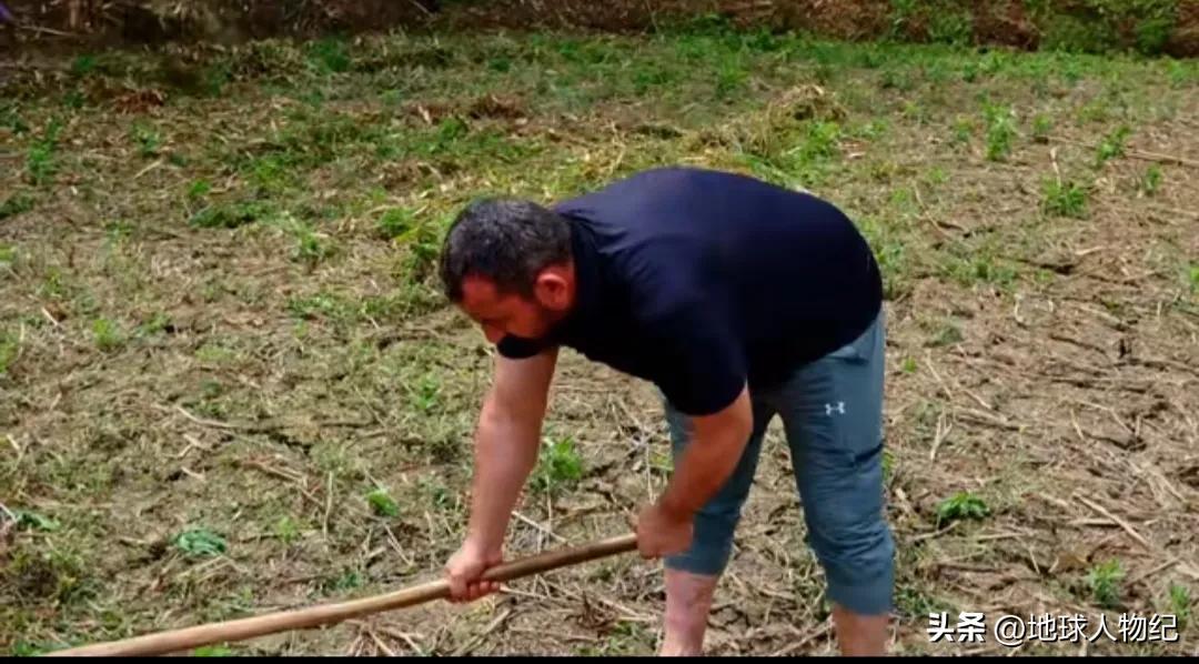 土耳其阿布嫁到四川8年,土耳其阿布和媳妇为什么要回农村