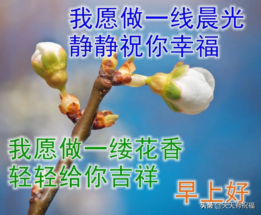 最新漂亮早上好问候祝福动画表情,早安问候语卡通早上好图片