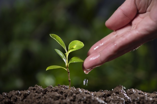 头条新人一个月涨粉1000,头条一个半月涨粉一千