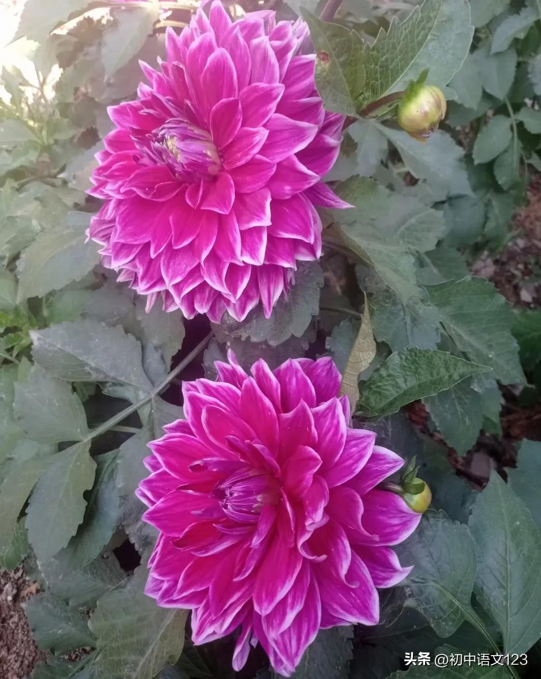 怎么拟新闻标题,中考语文拟写新闻标题答题技巧