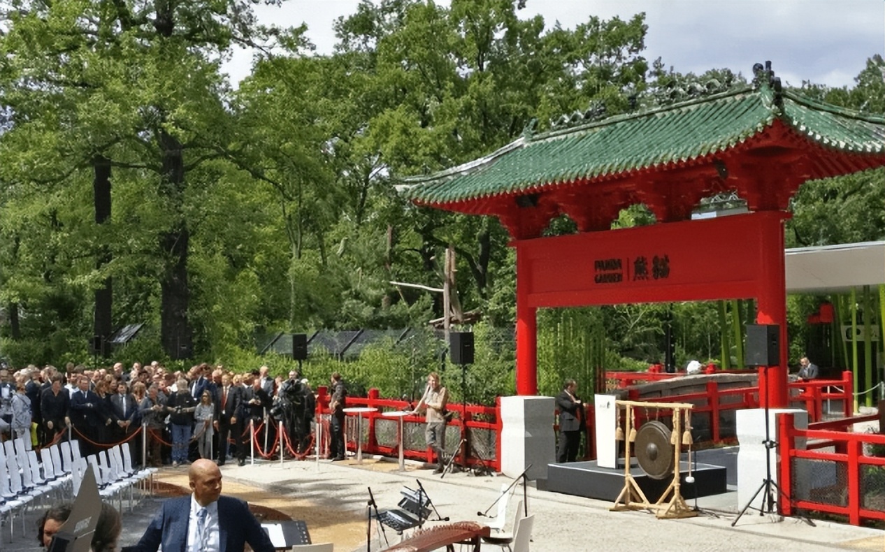 印度屡次向中国求借大熊猫遭拒，卡塔尔却一次成功？背后有何原因