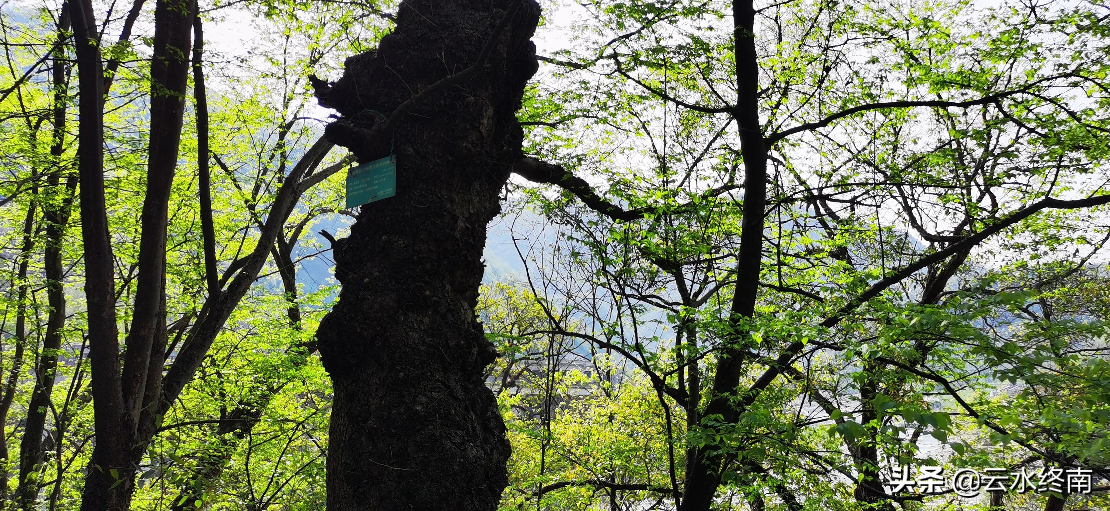 月下追韩信的真实地点,萧何月下追韩信真实发生地点