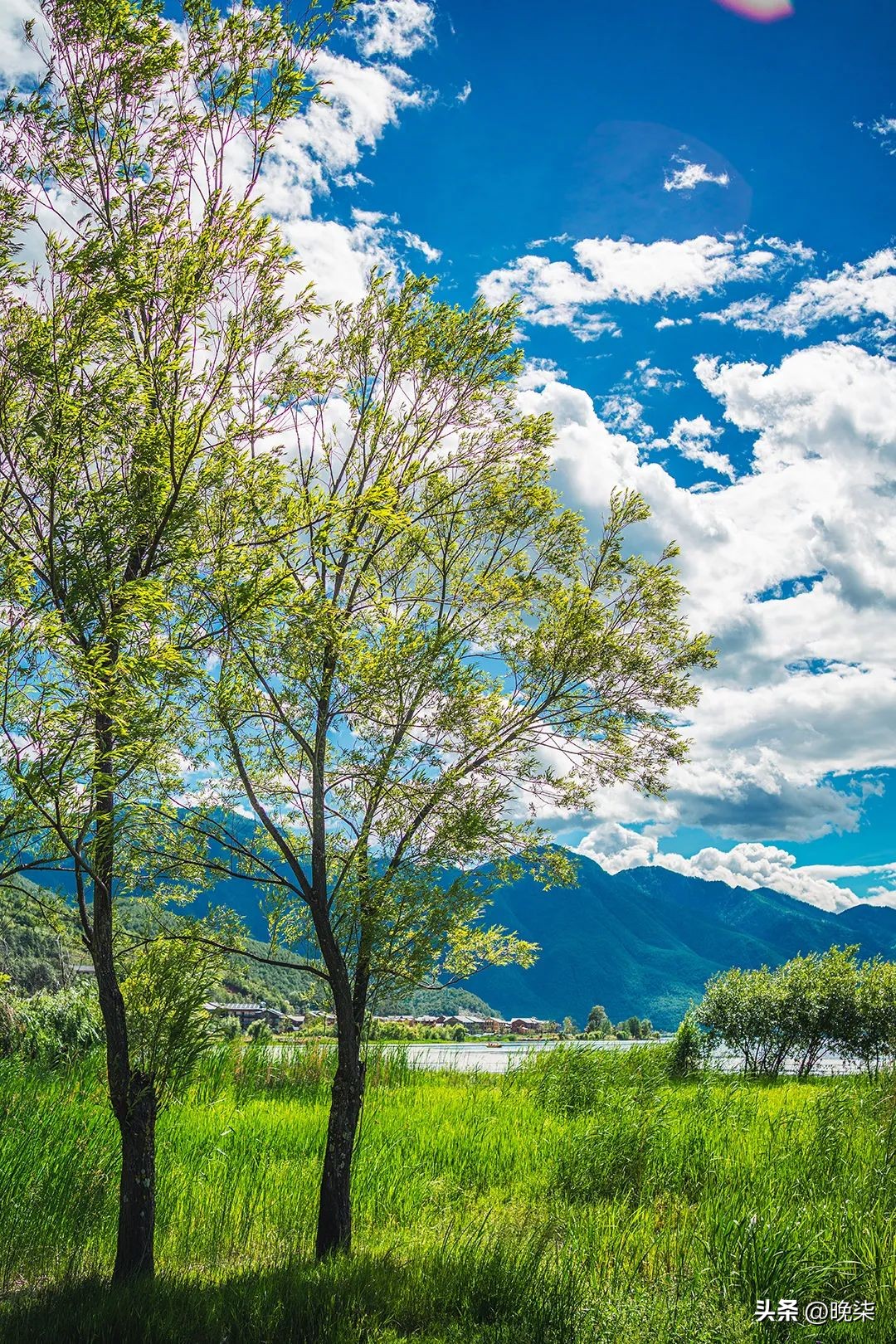 庄河最出名中医大夫,庄河中医院院长