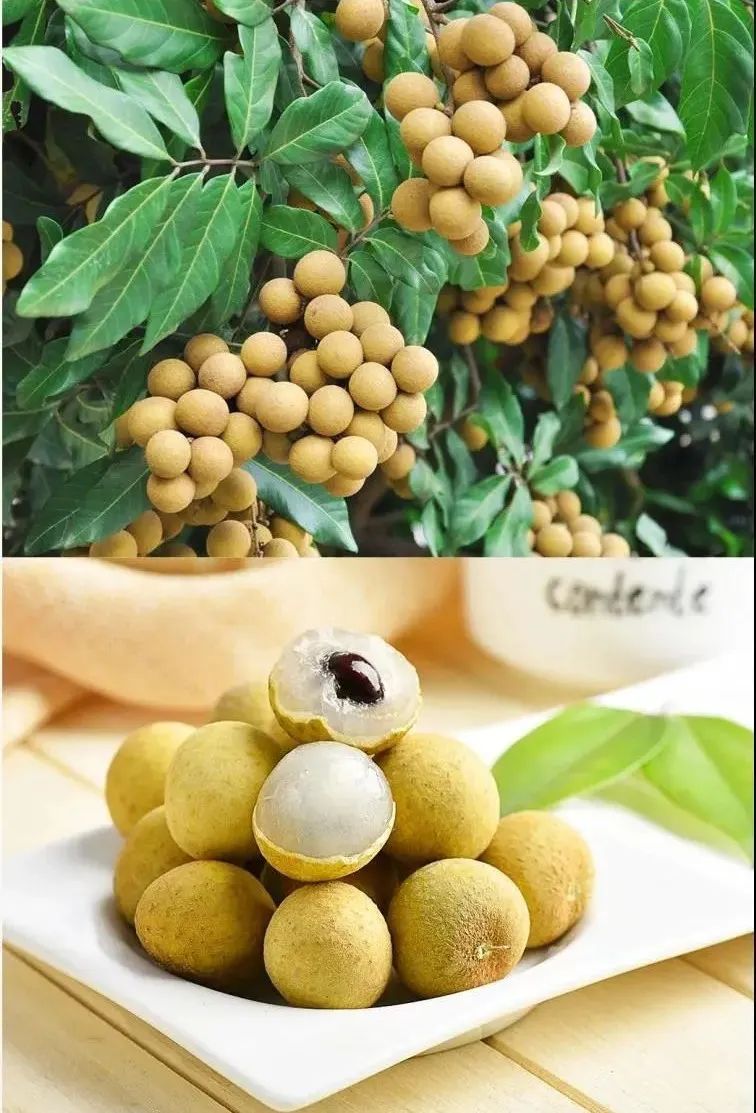 广西博白县龙潭镇酸白椒,广西博白客家美食