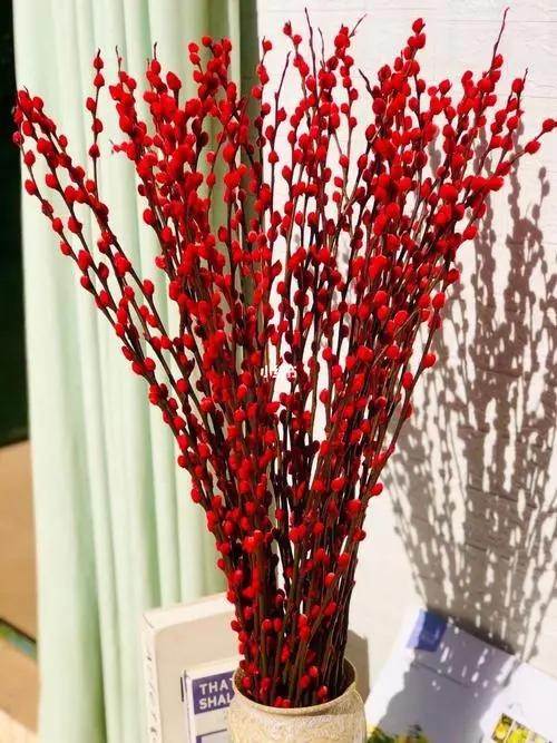 网红干树枝,网红水培干枝树