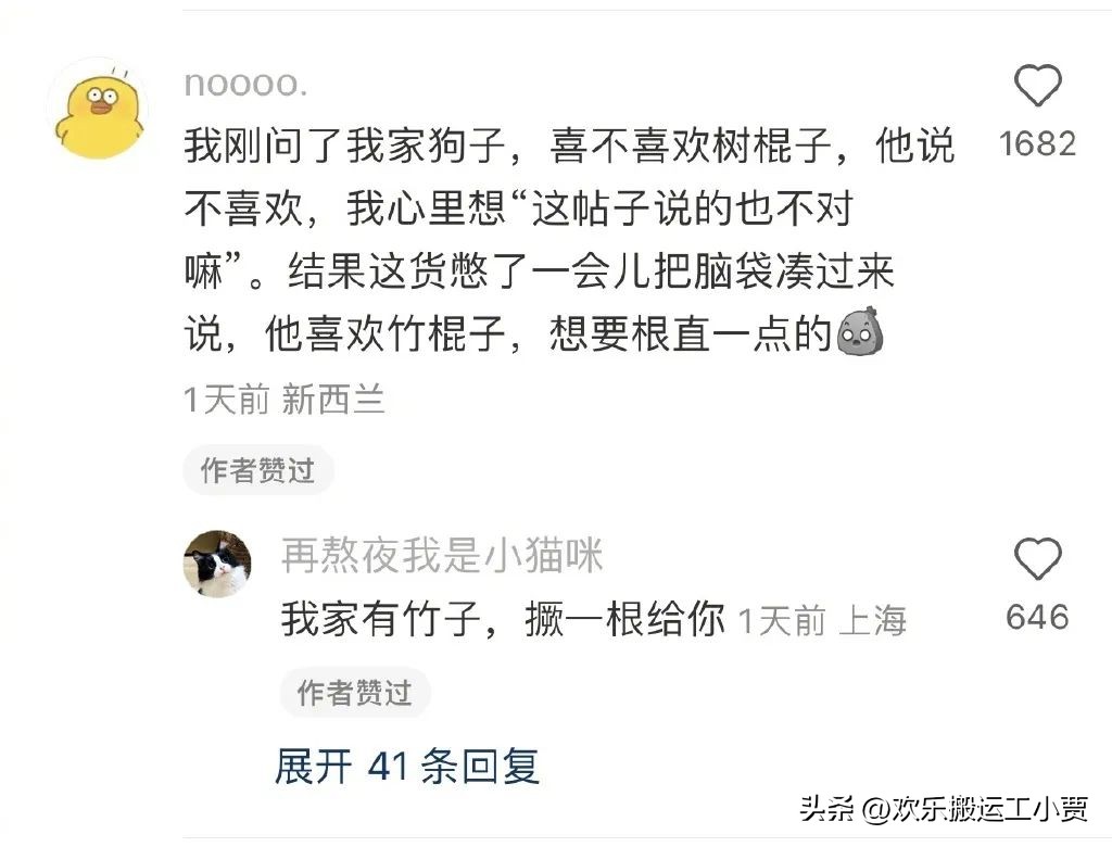 这绝对是大部分男生最喜欢的礼物！一根笔直的棍子！