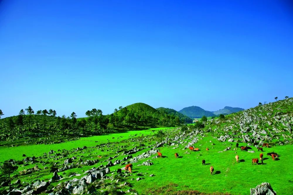 重庆周边凉快的避暑打卡地,重庆周围避暑地推荐