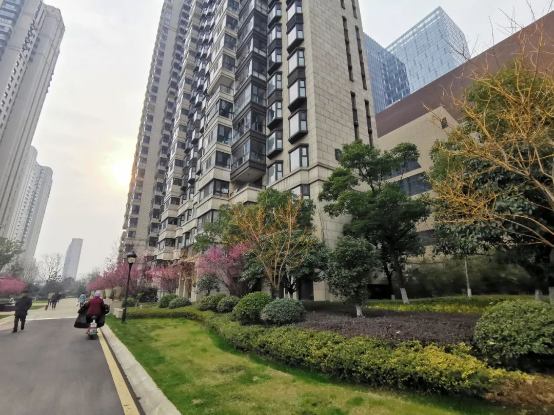 神盘降价的楼盘,南京河西神盘最新消息