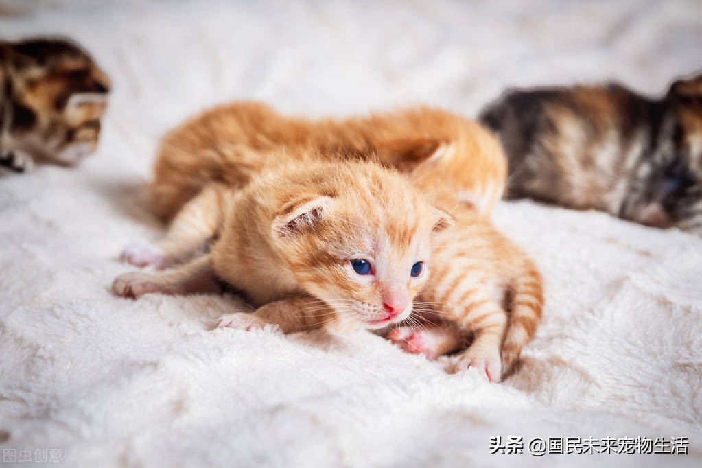 鐚挭鍙戞儏浜嗗彲浠ユ礂婢″墐姣涘悧,鍏尗鍜墐姣涘悗鍙戞儏鎬庝箞缂撹В