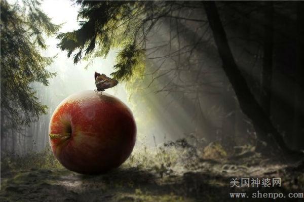 在外面丢了手机怎么办,请问出门在外手机丢了怎么办