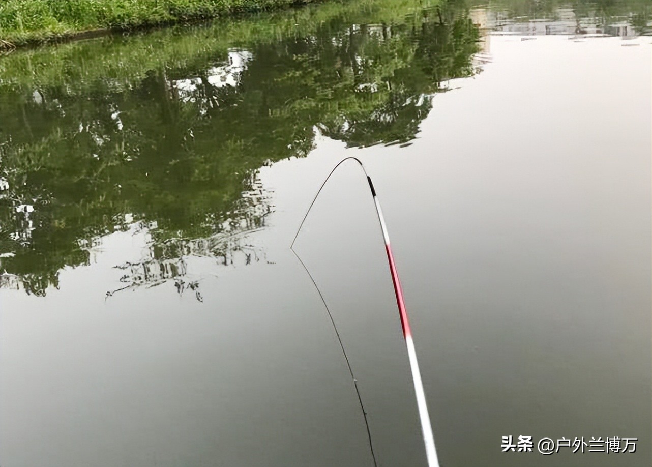 过来人奉劝你，对并继竿要求过高，最好别买